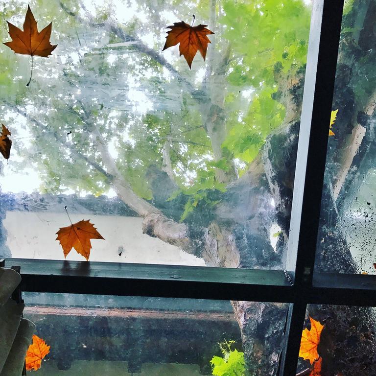 Youxiake Canal Hotel Hangzhou Bagian luar foto